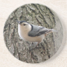 Nuthatch Coaster