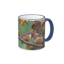 Nuthatch collage mug