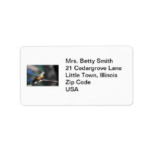 Nuthatch Custom Address Labels