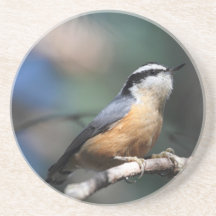 Nuthatch Drink Coaster