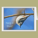 Nuthatch - encouragement card cards