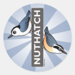 Nuthatch Fan Round Stickers