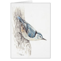 Nuthatch Greeting Card