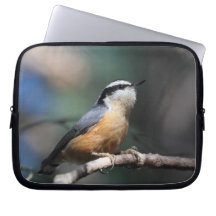 Nuthatch Laptop Computer Sleeves