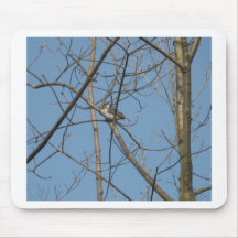 Nuthatch Mousepad