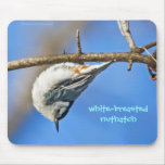 Nuthatch - mousepad mousepads