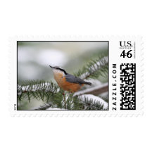 Nuthatch on Snowy Branch in Winter Stamp