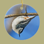 Nuthatch - ornament ornaments