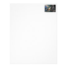 Nuthatch Personalized Letterhead