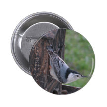 Nuthatch Pin