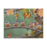 Nuthatch postcard