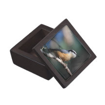 Nuthatch Premium Gift Boxes