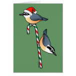 Nuthatch Santa Card