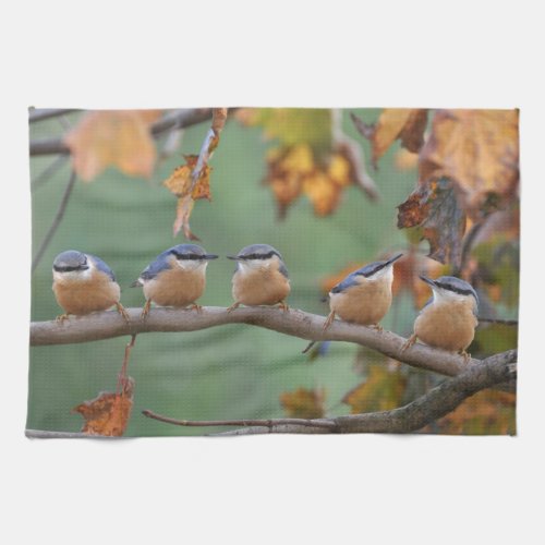 Nuthatch wild birds Mojo kitchen towel mojo_kitchentowel