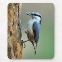 Nuthatch with sunflower seed mouse pad