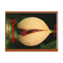 Nutmeg postcards