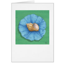 Nutmeg Shell & Cool Flower cards by briancody Nutmeg Shell & Cool Flower cards