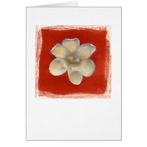 Nutmeg Shell & Red Flower cards by briancody Nutmeg Shell & Red Flower cards