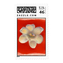 Nutmeg Shell & Red Flower postage