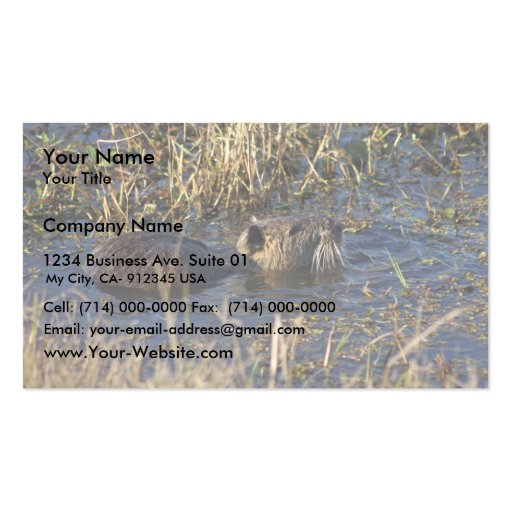 Nutria in water business card (front side)