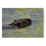 "Nutria Swimming" Greting Card