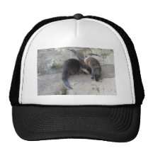 Nutrias Gorros Bordados
