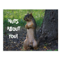 NUTS ABOUT YOU! postcards