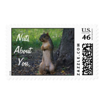 Nuts about you stamp stamps