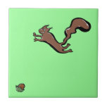 nuts for the nut tile
