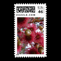 Nuts in the mist stamps
