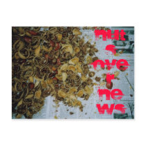 Nuts Over News postcards by trendhuntress Nuts Over News postcards
