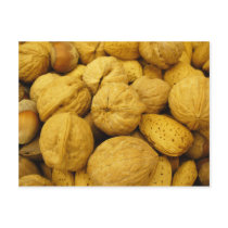 Nuts Postcard 001