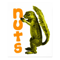 Nuts posters