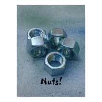 Nuts! posters