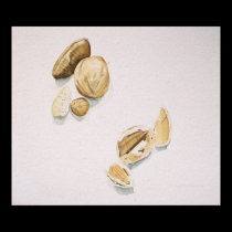 nuts posters