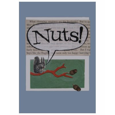 nuts t shirts by buzzyant