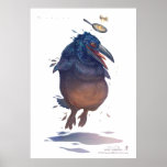 Nutter posters