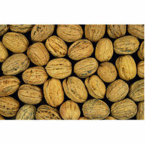 Nutty background acrylic cut outs