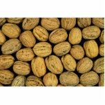 Nutty background acrylic cut outs