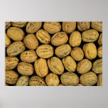 Nutty background posters