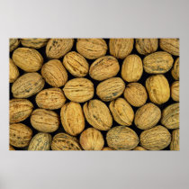 Nutty background print