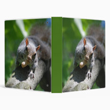 Nutty Squirrel Binder