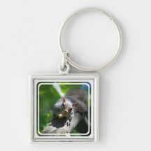 Nutty Squirrel Keychain
