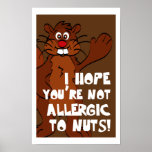 Nutty Squirrel posters