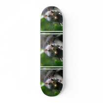 Nutty Squirrel Skateboard