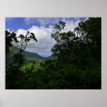 Nuuanu valley, O'ahu Posters