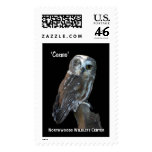 NWC - Zazzle Stamp - Cosmo