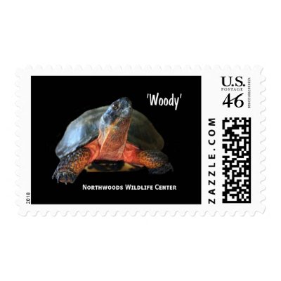 NWC - Zazzle Stamp - Woody by Northwoods