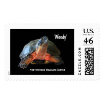 NWC - Zazzle Stamp - Woody by Northwoods NWC - Zazzle Stamp - Woody