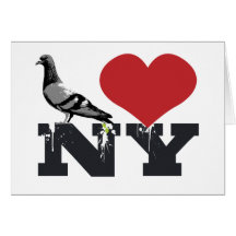 NY Pigeon Card